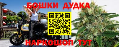 Альфа ПВП Бийск