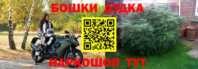 Альфа ПВП Бийск