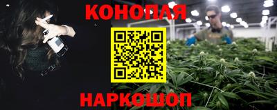 Альфа ПВП Бийск