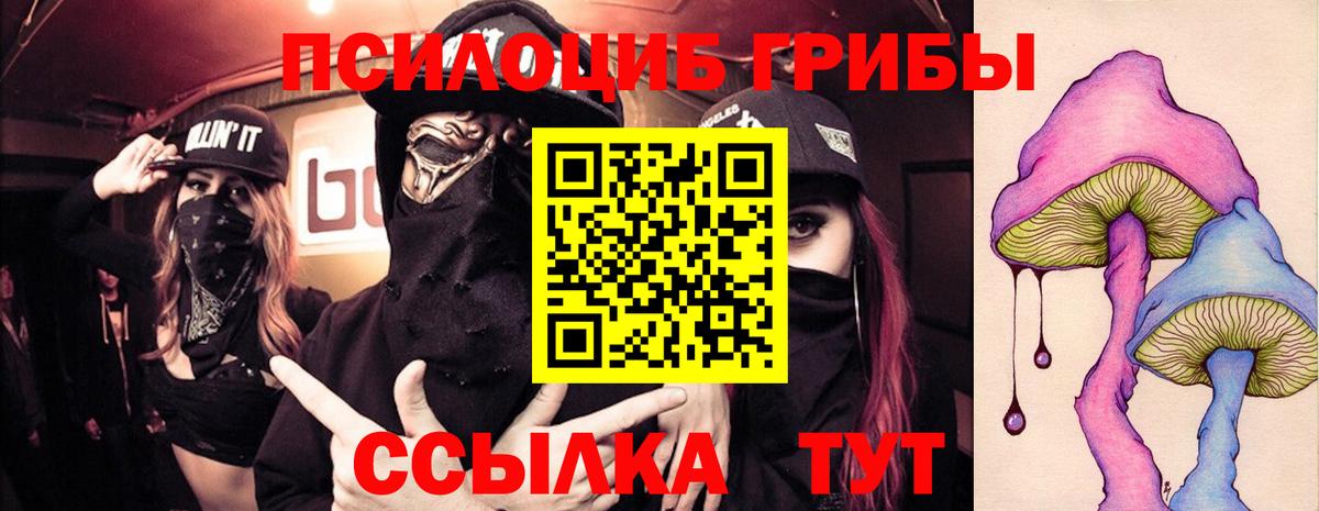Кашира  Галлюциногенные грибы Psilocybine cubensis  Галлюциногенные грибы мухоморы  Вход с VPN 