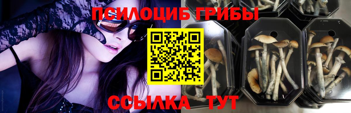 Галлюциногенные грибы мухоморы Кашира
